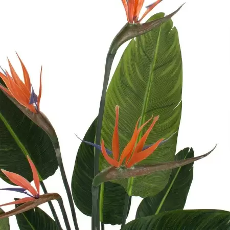 Стрелиция искусственная