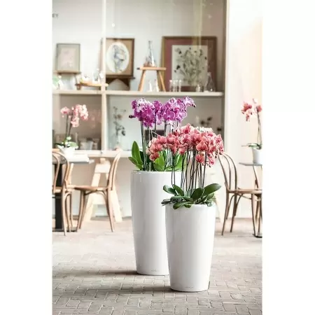 Кашпо Lechuza Rondo