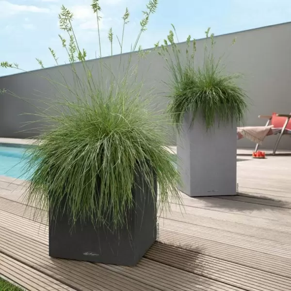 Кашпо Lechuza Canto Stone low