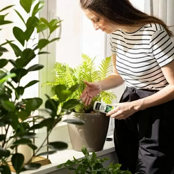 Удобрение для лиственных Lechuza Perfect Leaf Удобрение для лиственных Lechuza Perfect Leaf