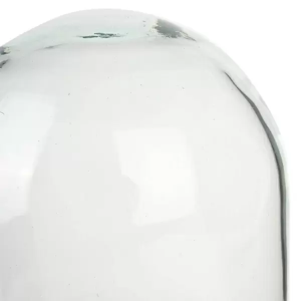 Флорариум стеклянный Колпак Венса-2