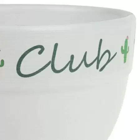 Кашпо White Cactus