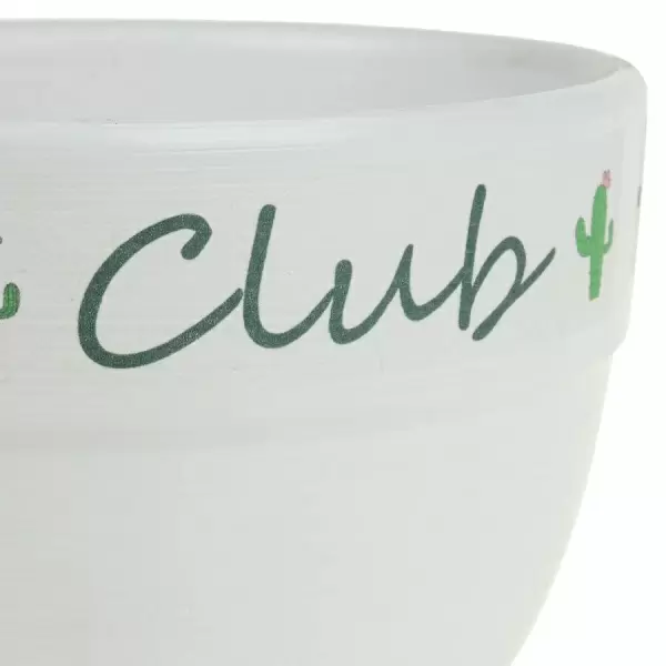 Кашпо White Cactus