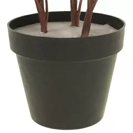 Колеус искусственный