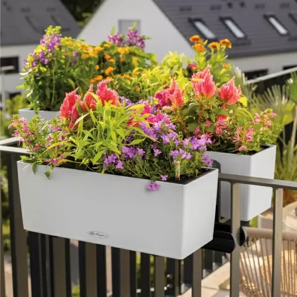 Кашпо Lechuza Balconera Color 100