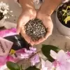 Субстрат Lechuza ORCHIDPON Субстрат Lechuza ORCHIDPON