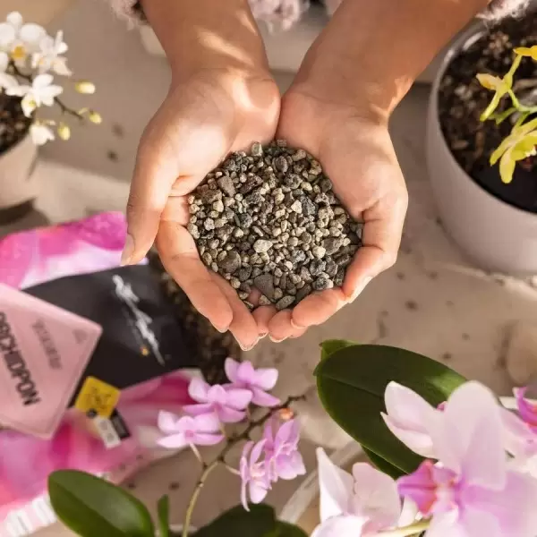 Субстрат Lechuza ORCHIDPON