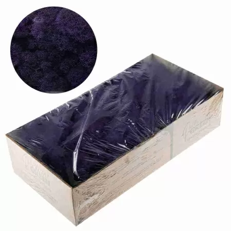 Мох стабилизированный фиолетовый