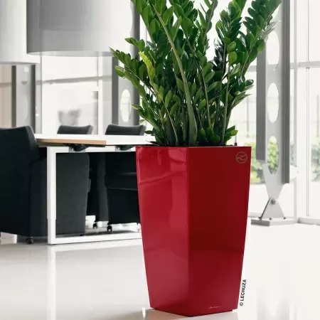 Кашпо Lechuza Cubico Premium