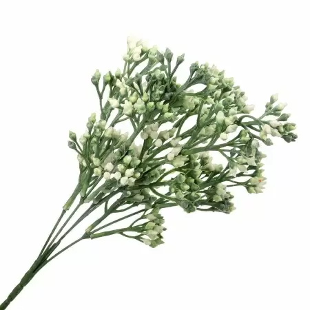 Гиперкиум искусственный Гиперкиум искусственный