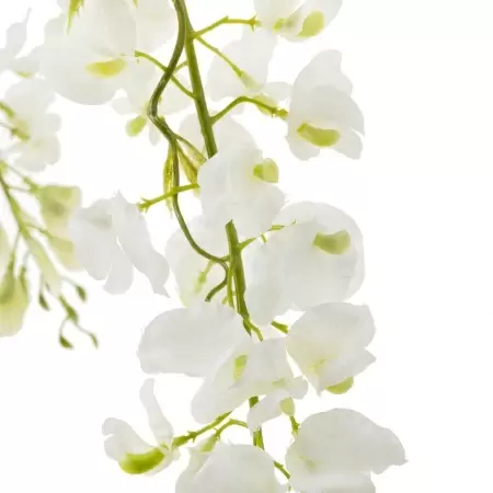 Глициния искусственная