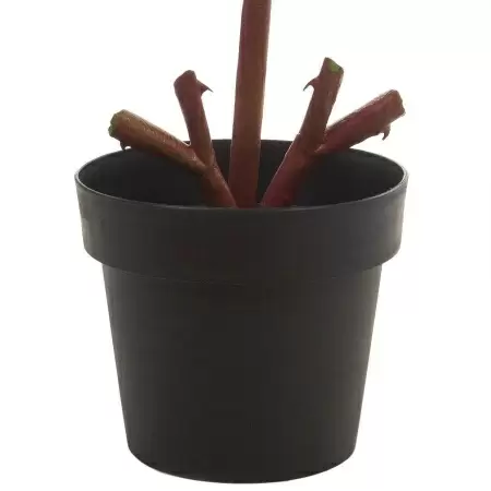 Роза искусственная в кашпо Роза искусственная в кашпо