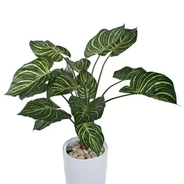 Растение искусственное Калатея в горшке Vase Rib