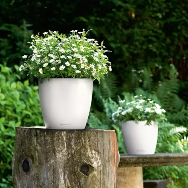 Кашпо Lechuza Classico Color