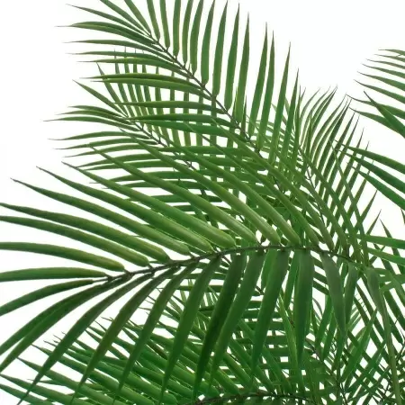 Пальма Арека искусственная