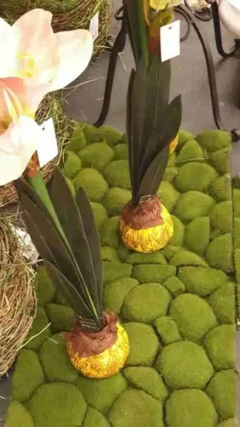 фото Мох с кочками Мох с кочками