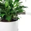 Насадка для лейки Lechuza Pico Насадка для лейки Lechuza Pico