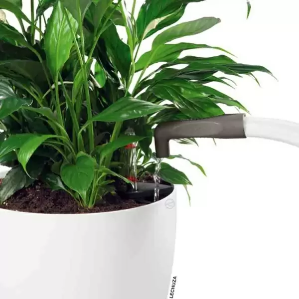 Насадка для лейки Lechuza Pico