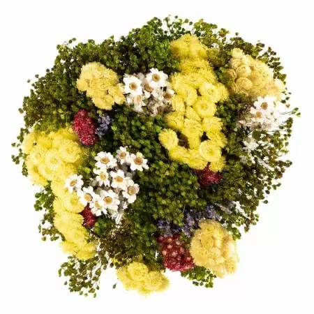 Стабилизированный букет Соло