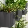 Настенное кашпо Lechuza Green Wall Home Kit Glossy