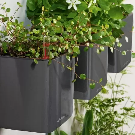 Настенное кашпо Lechuza Green Wall Home Kit Glossy