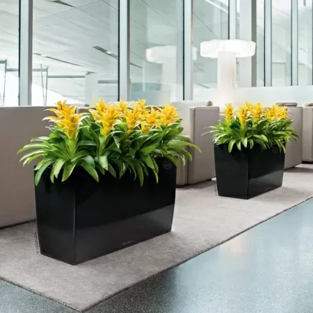 Кашпо Lechuza Cararo Кашпо Lechuza Cararo