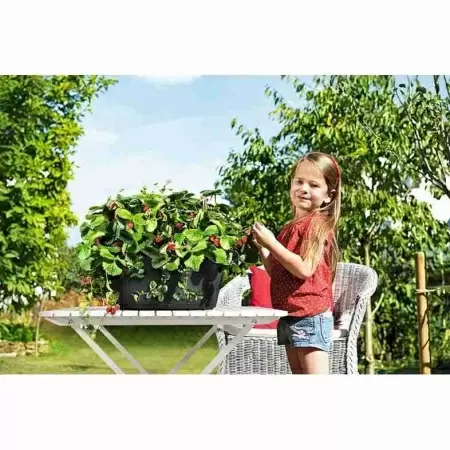 Кашпо Lechuza Cascada Color Кашпо Lechuza Cascada Color