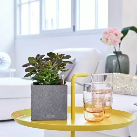 Кашпо Lechuza Canto Stone 14