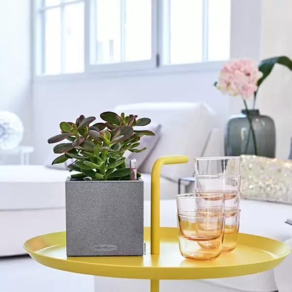 Кашпо Lechuza Canto Stone 14 Кашпо Lechuza Canto Stone 14