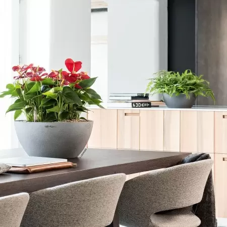 Кашпо Lechuza Cubeto Stone