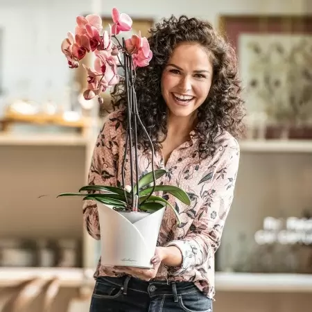 Кашпо Lechuza Orchidea Кашпо Lechuza Orchidea