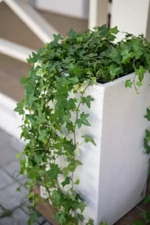 Цветочный горшок Pote-white Column