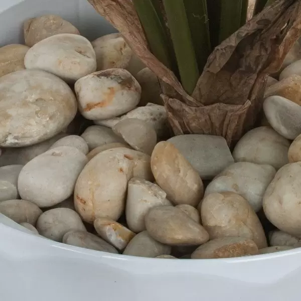 Искусственное растение Алоказия в горшке Vase Rib