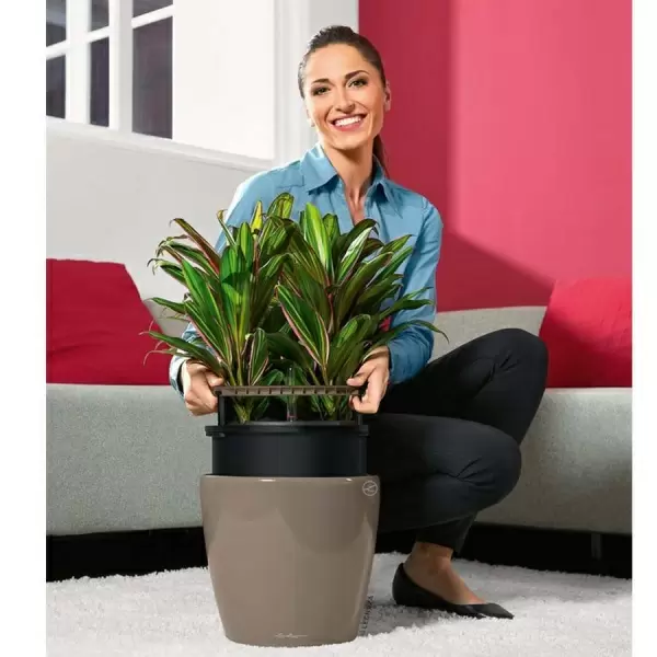 Фото Кашпо Lechuza Classico LS  Lechuza Classico LS