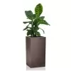 Кашпо Lechuza Canto Column