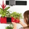 Настенное кашпо Lechuza Green Wall Home Kit Glossy