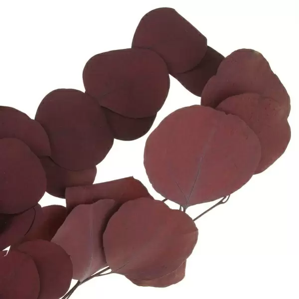 Эвкалипт стабилизированный