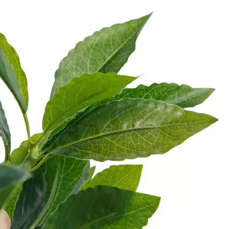 Лавр искусственное дерево