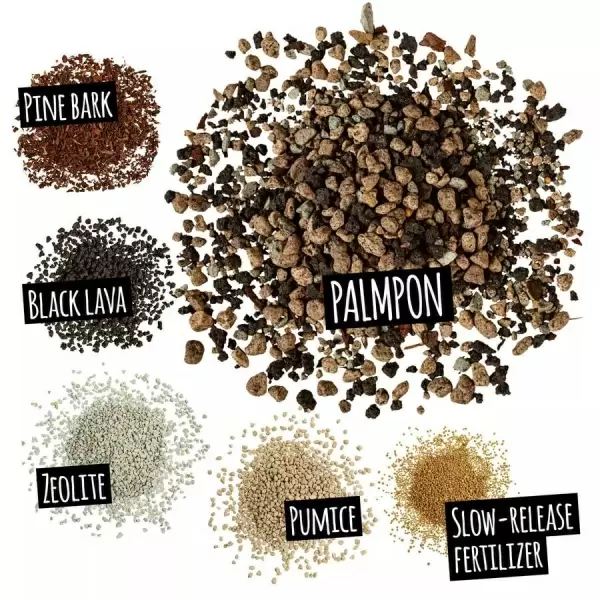 Субстрат Lechuza PALMPON