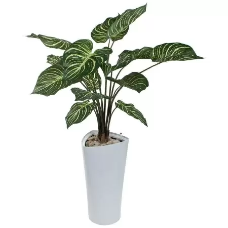 Растение искусственное Калатея в горшке Crater Silk