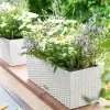 Кашпо Lechuza Balconera Cottage 50