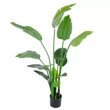 Стрелиция искусственная