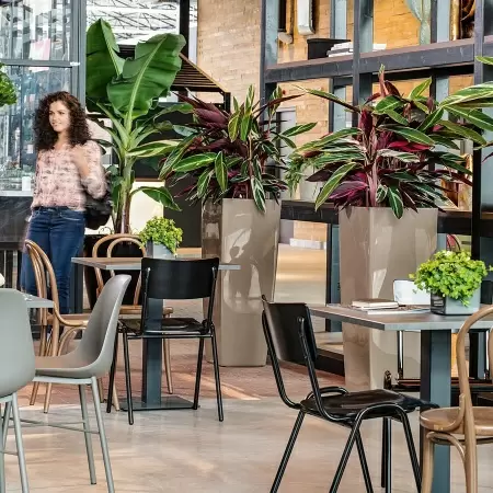 Кашпо Lechuza Cubico Alto