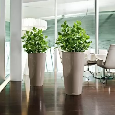 Кашпо Lechuza Rondo