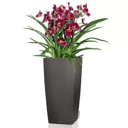 Кашпо Lechuza Cubico Premium Кашпо Lechuza Cubico Premium