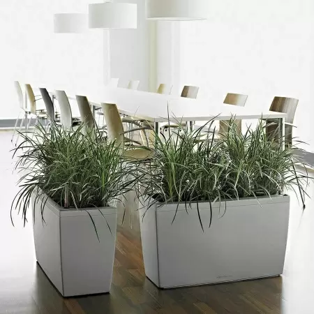 Кашпо Lechuza Cararo