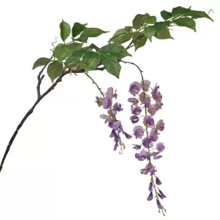 Глициния искусственная