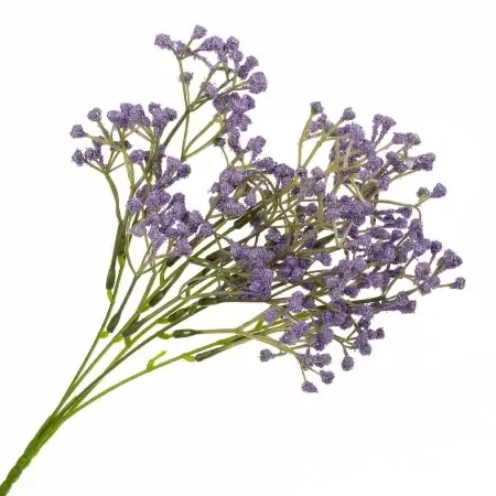 Гипсофила искусственная