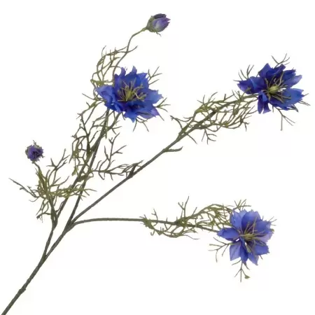 Нигелла искусственная