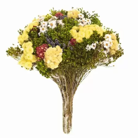 Стабилизированный букет Соло